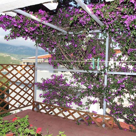 Apartment Sandra Budva Szoba fotó