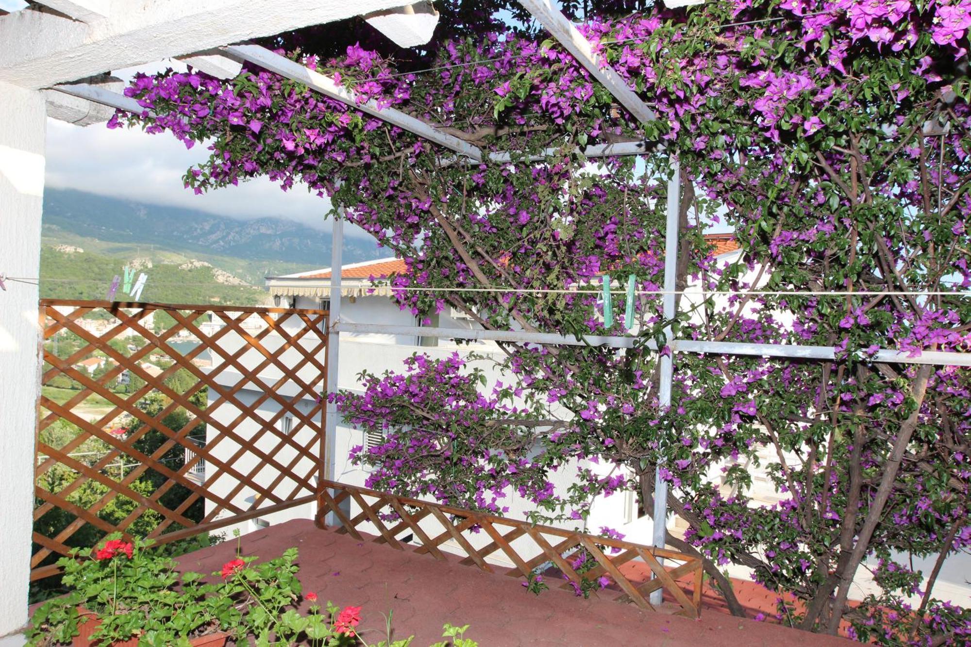 Apartment Sandra Budva Szoba fotó